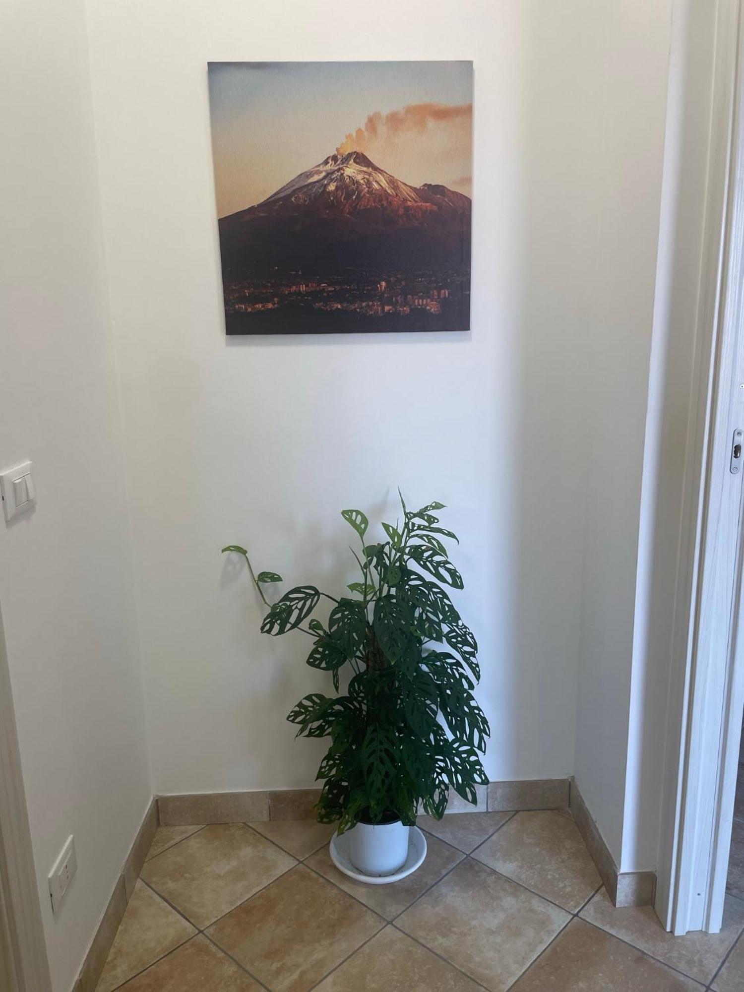 Maison De Cheeramie - Tourist Apartments Tra Mare E Etna 마스칼리 외부 사진